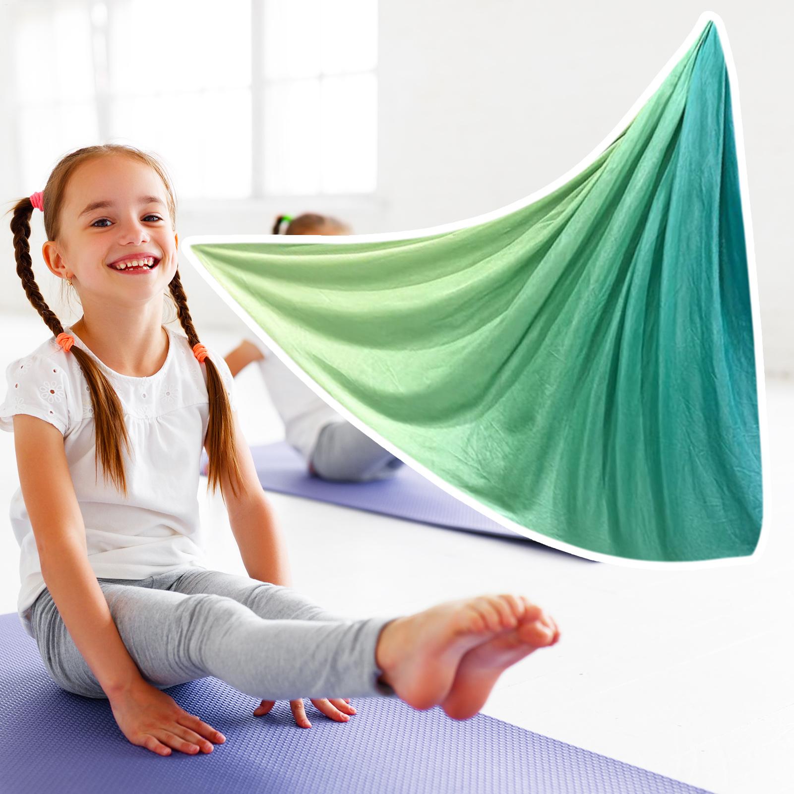 Yoga Swing Aerial Silks Elasti - Aerial Silk Hammock review and price