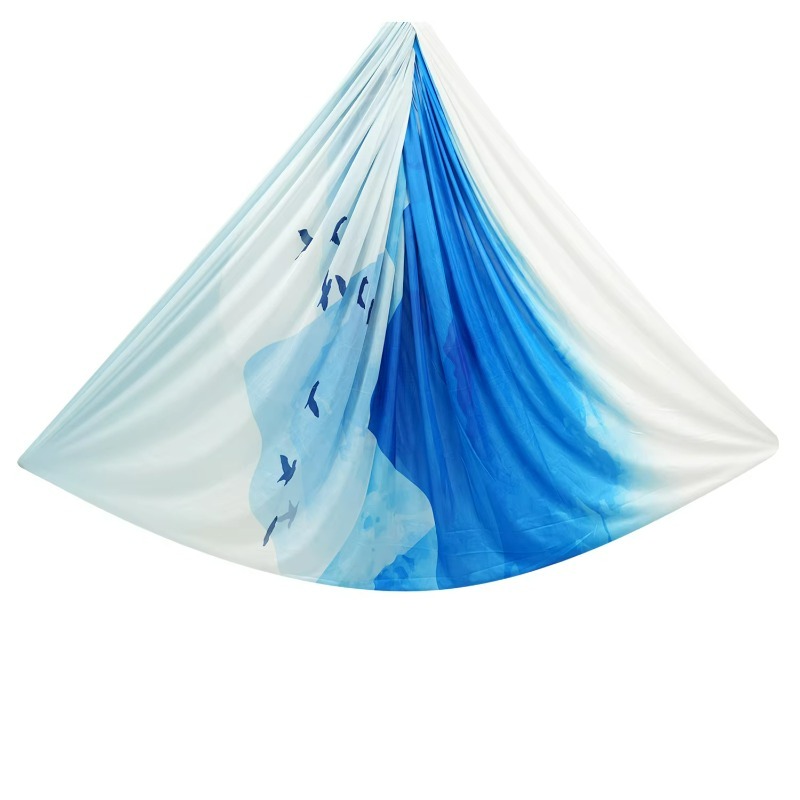 Gradient Color Premium Aerial  - Aerial Silk Hammock review and price